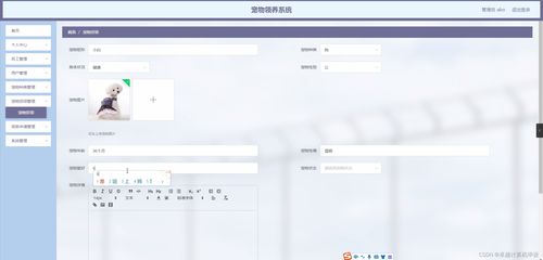 SpringBoot寵物領(lǐng)養(yǎng)系統(tǒng)23998計(jì)算機(jī)畢業(yè)設(shè)計(jì) 一個(gè)全棧軟硬件開(kāi)發(fā)實(shí)踐